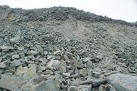 
DSC00118